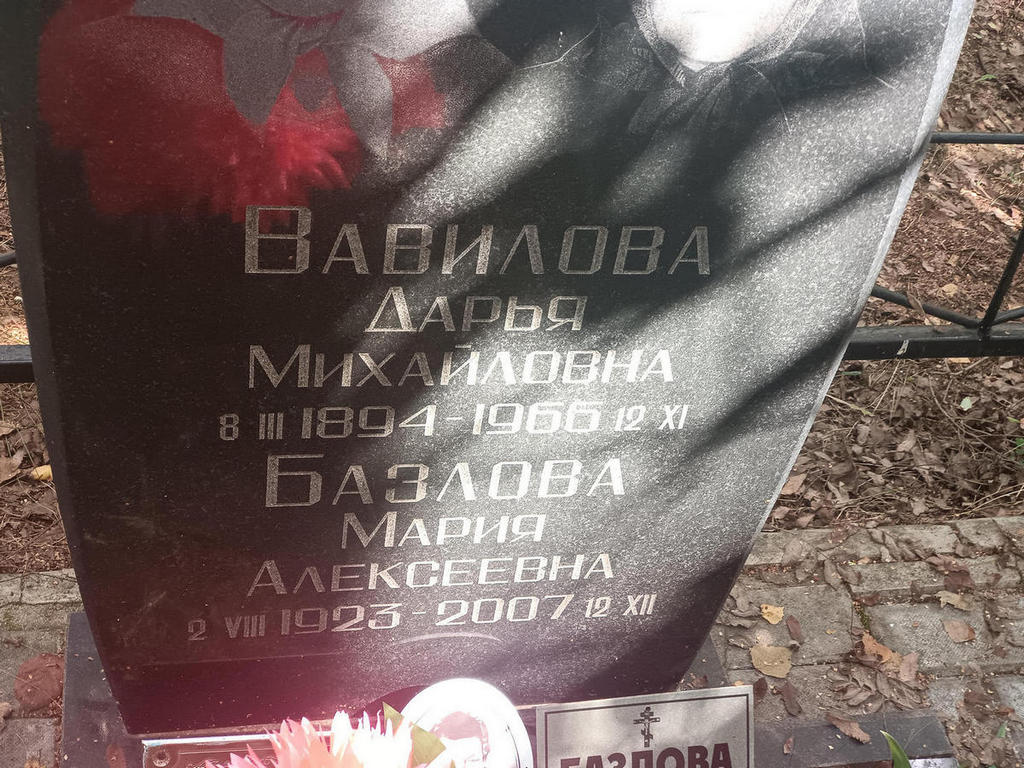 Вавилова Дарья Михайловна
