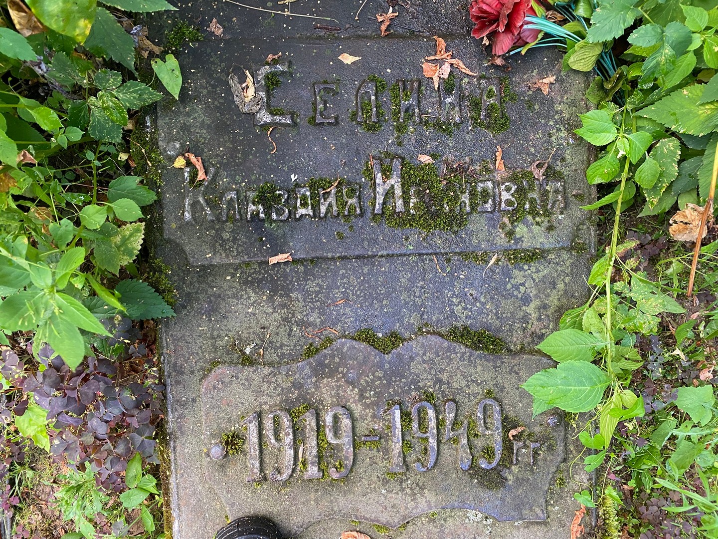 Селина