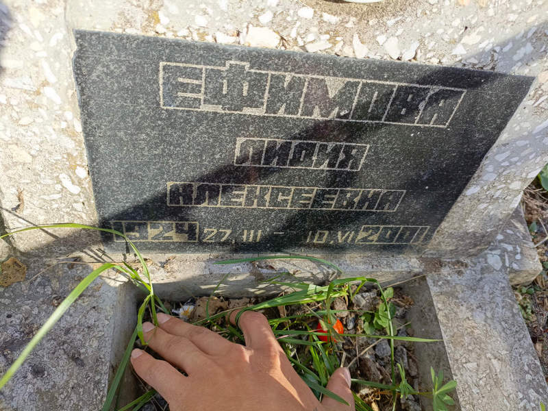 Ефимова