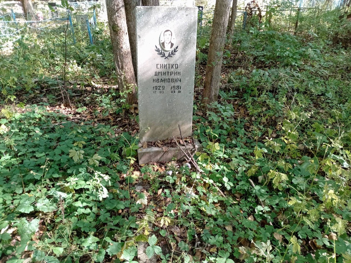 Снитко Дмитрий Иванович