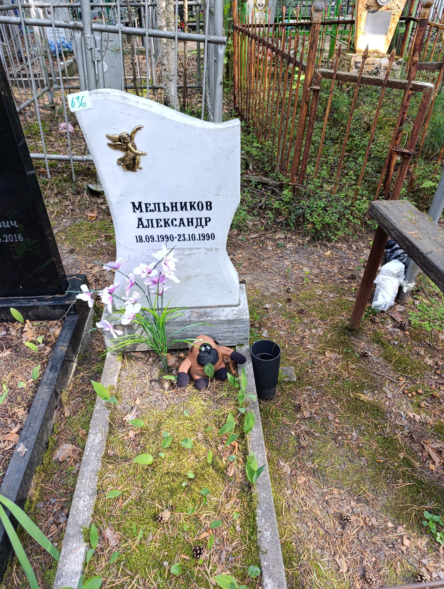 Мельникова Александра