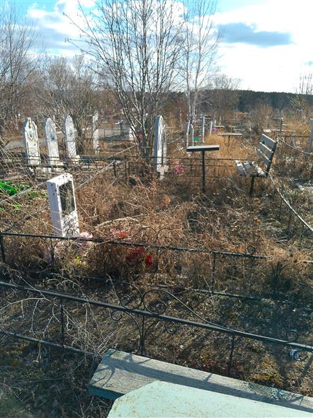 Тараева Любовь Николаевна