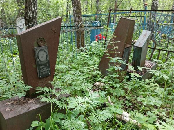 Лейман Альфред Яковлевич