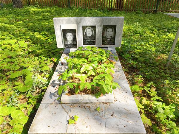 Сергеев Василий Алексеевич