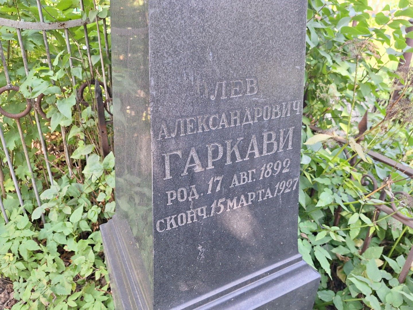 Лев Гаркави Александрович