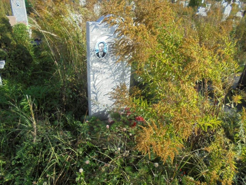 Дулепова Лариса Юрьевна