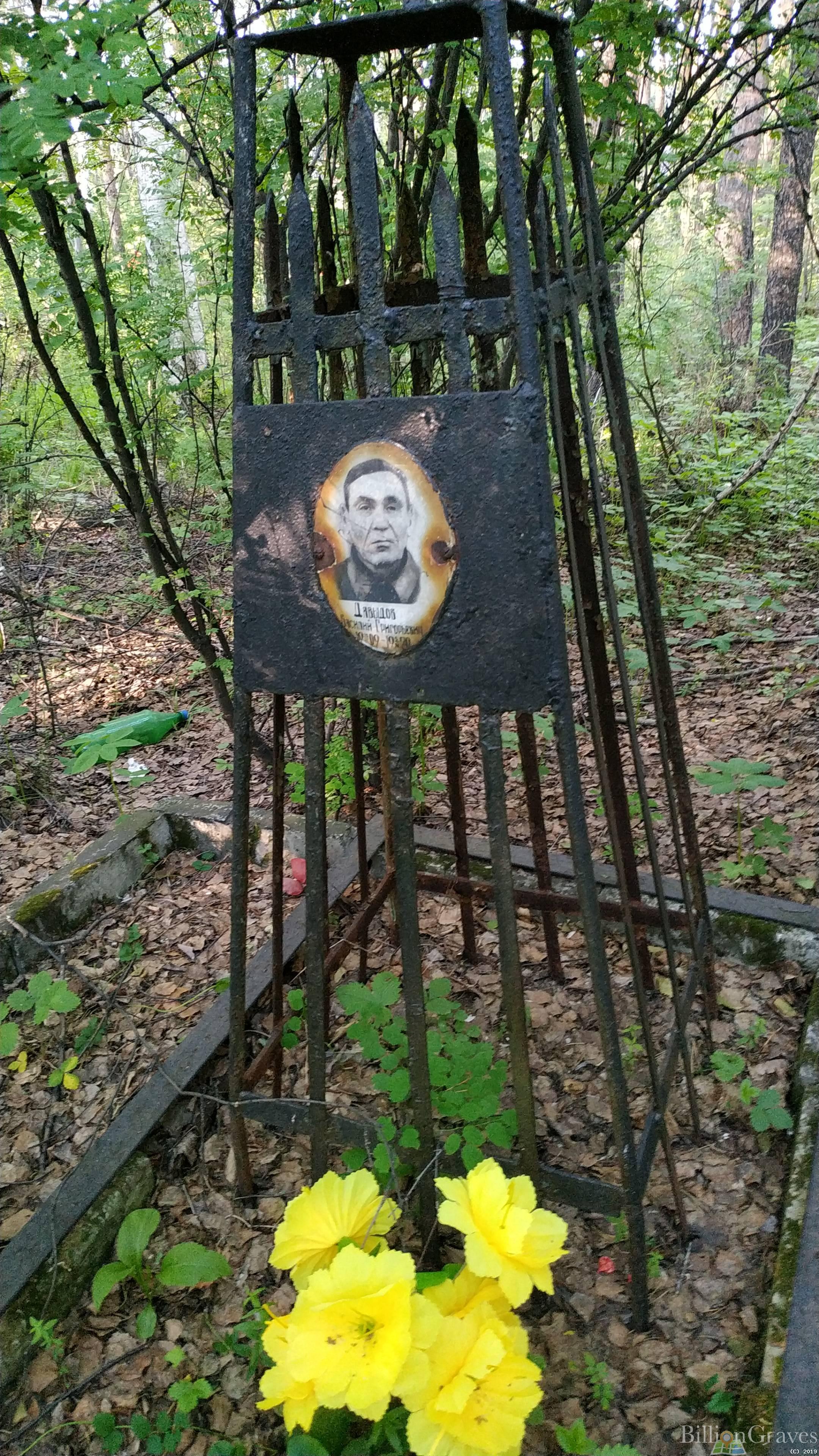 Давыдов Василий Григорьевич