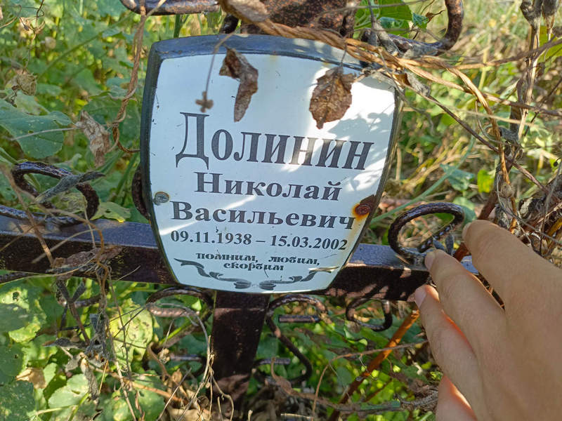 Долинин