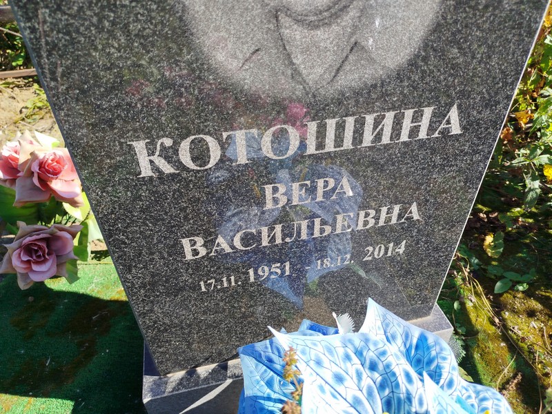 Котошина