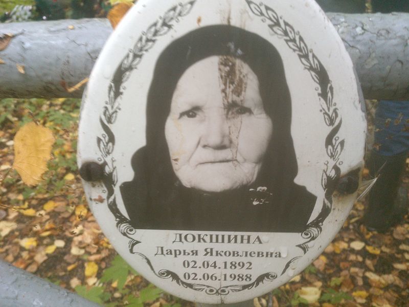 Докшина