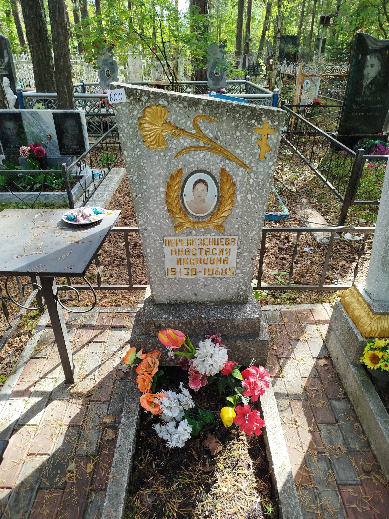 Перевезенцева Анастасия Ивановна