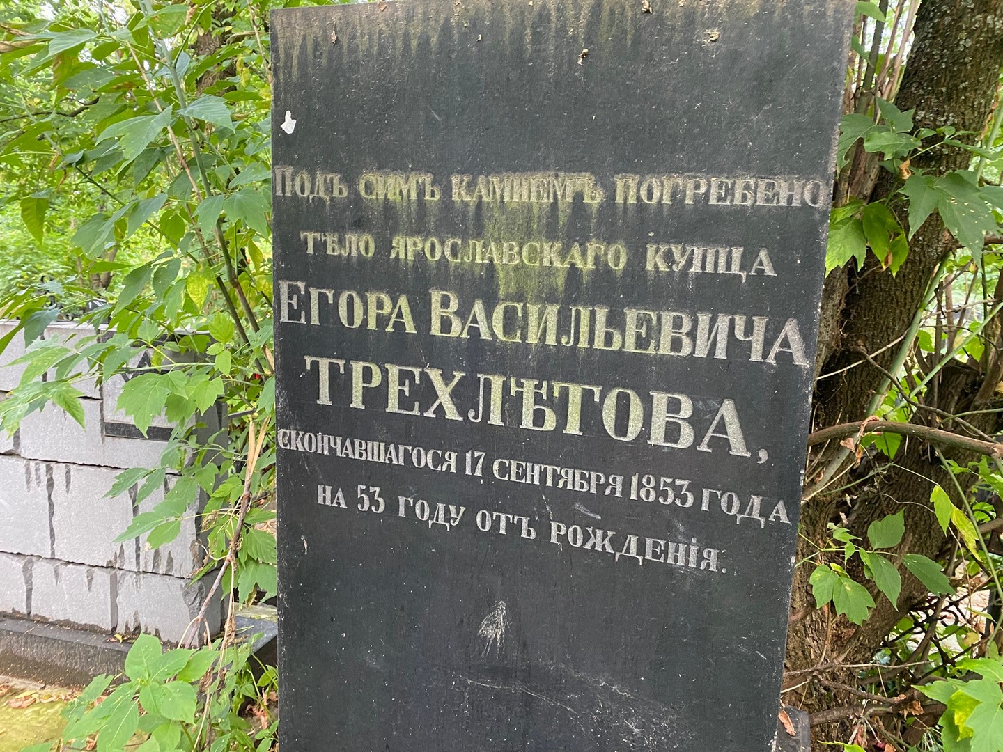 Трехлетов Егор Васильевич