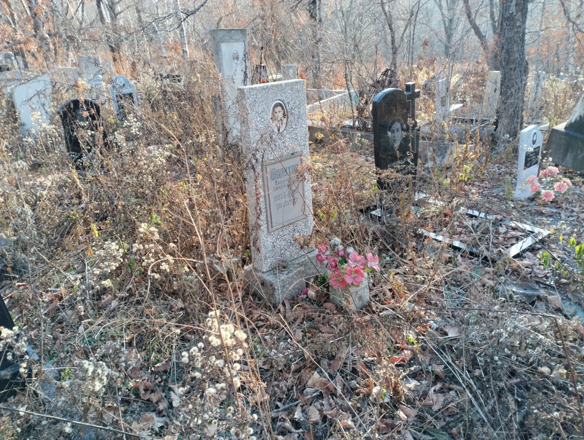 Шалухов Владимир Николаевич