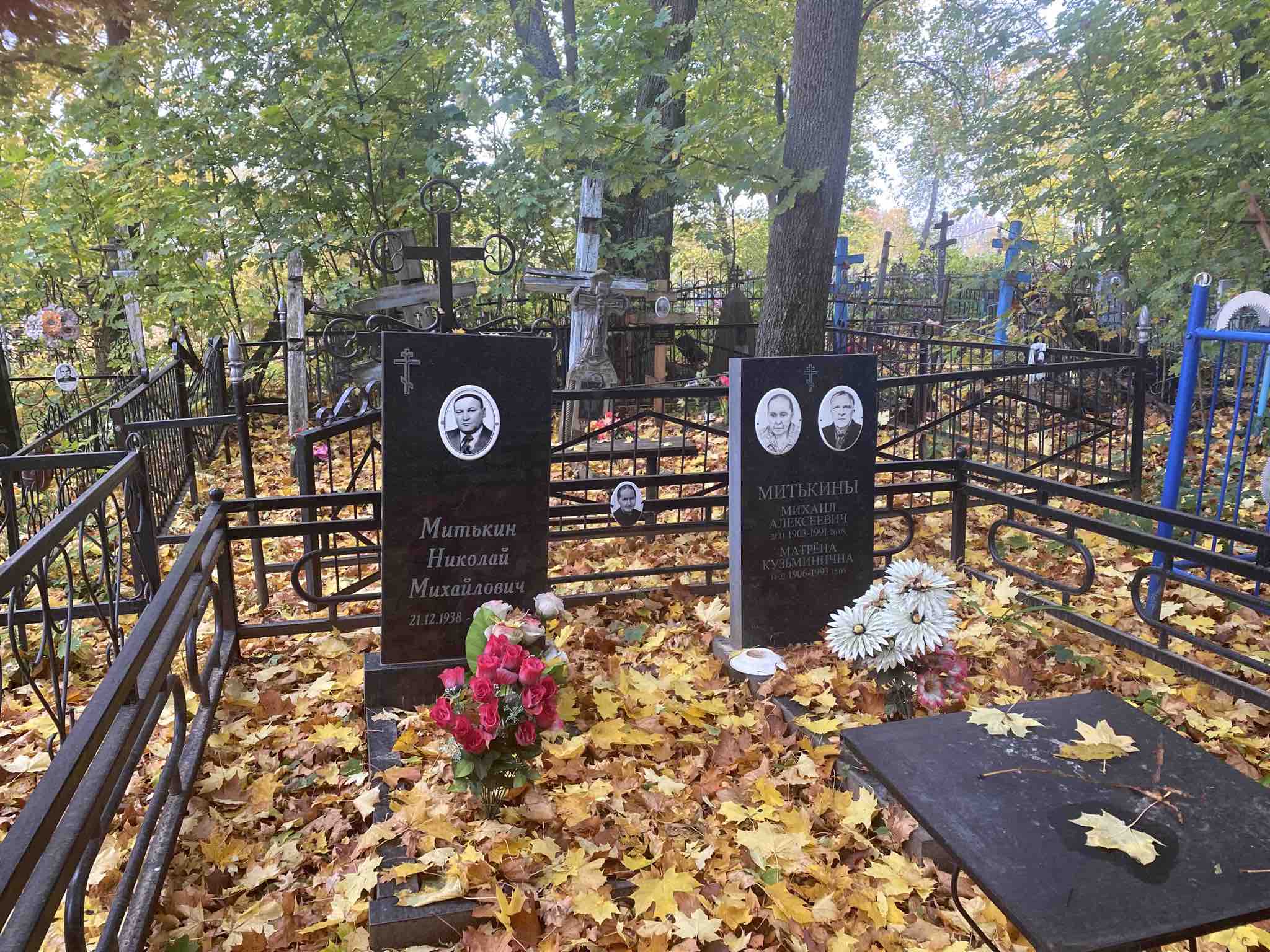Митькин Николай Михайлович