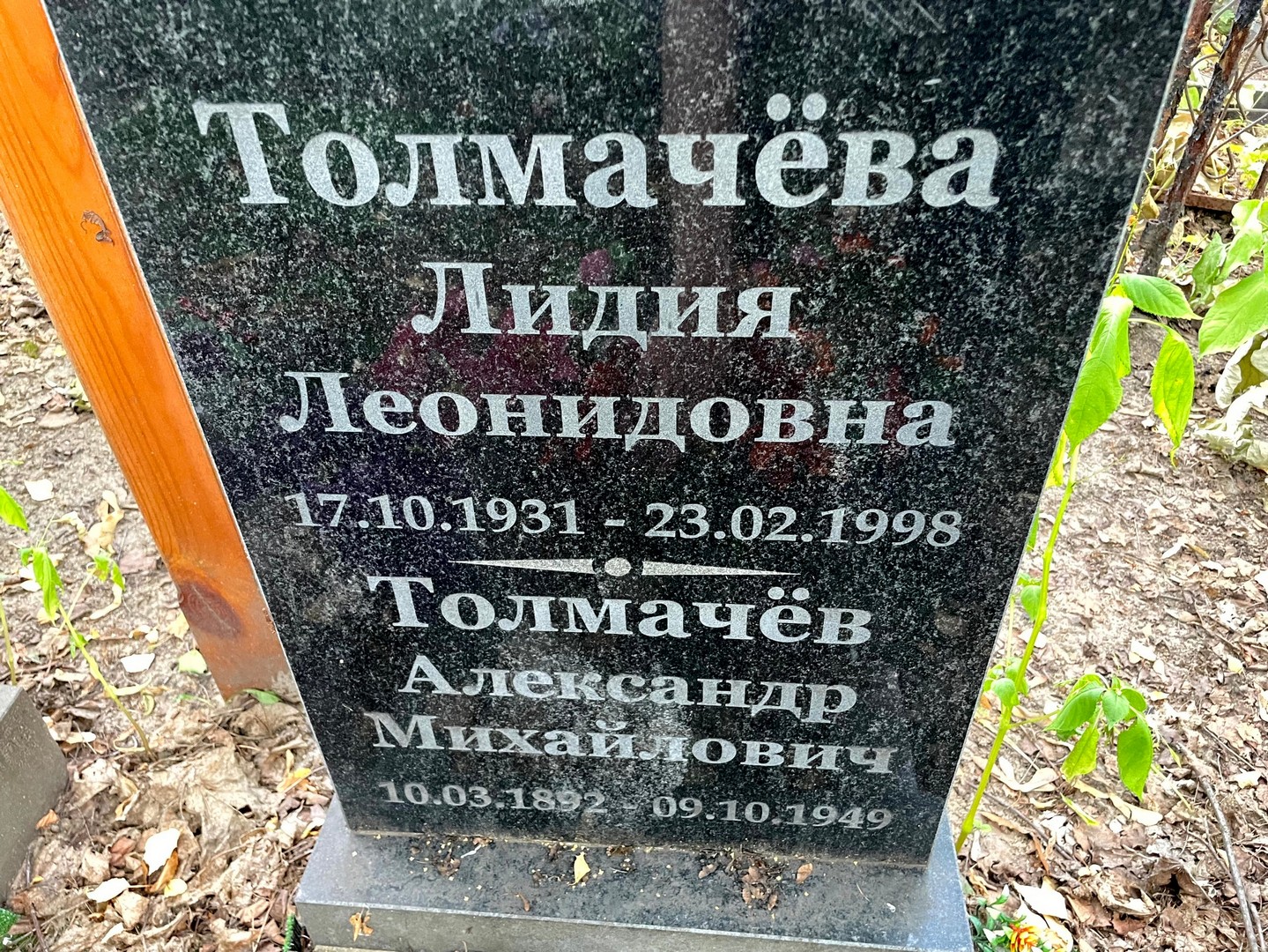 Толмачева