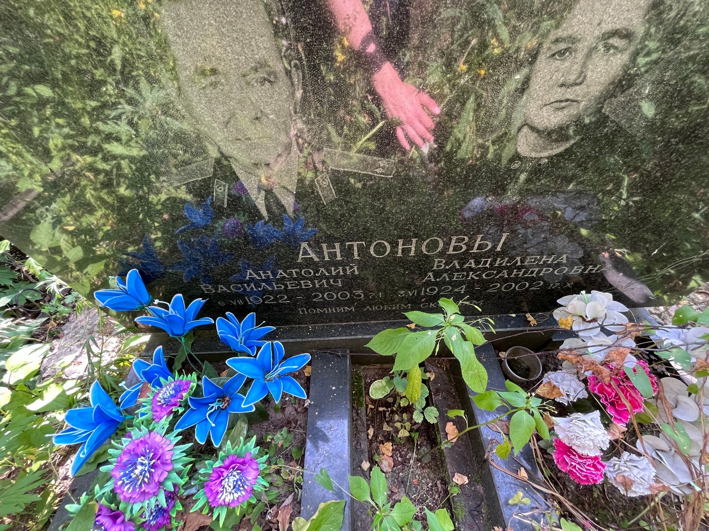 Владилена Антонова Александровна