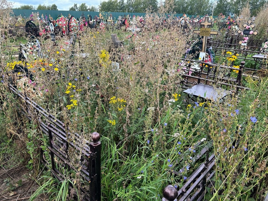 Виноградова Людмила Ивановна
