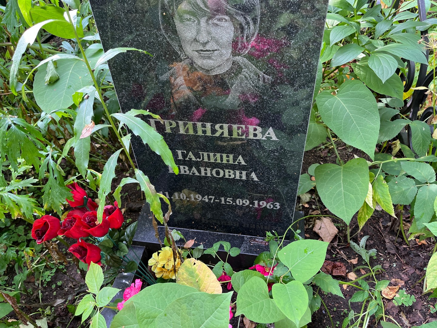 Гриняева
