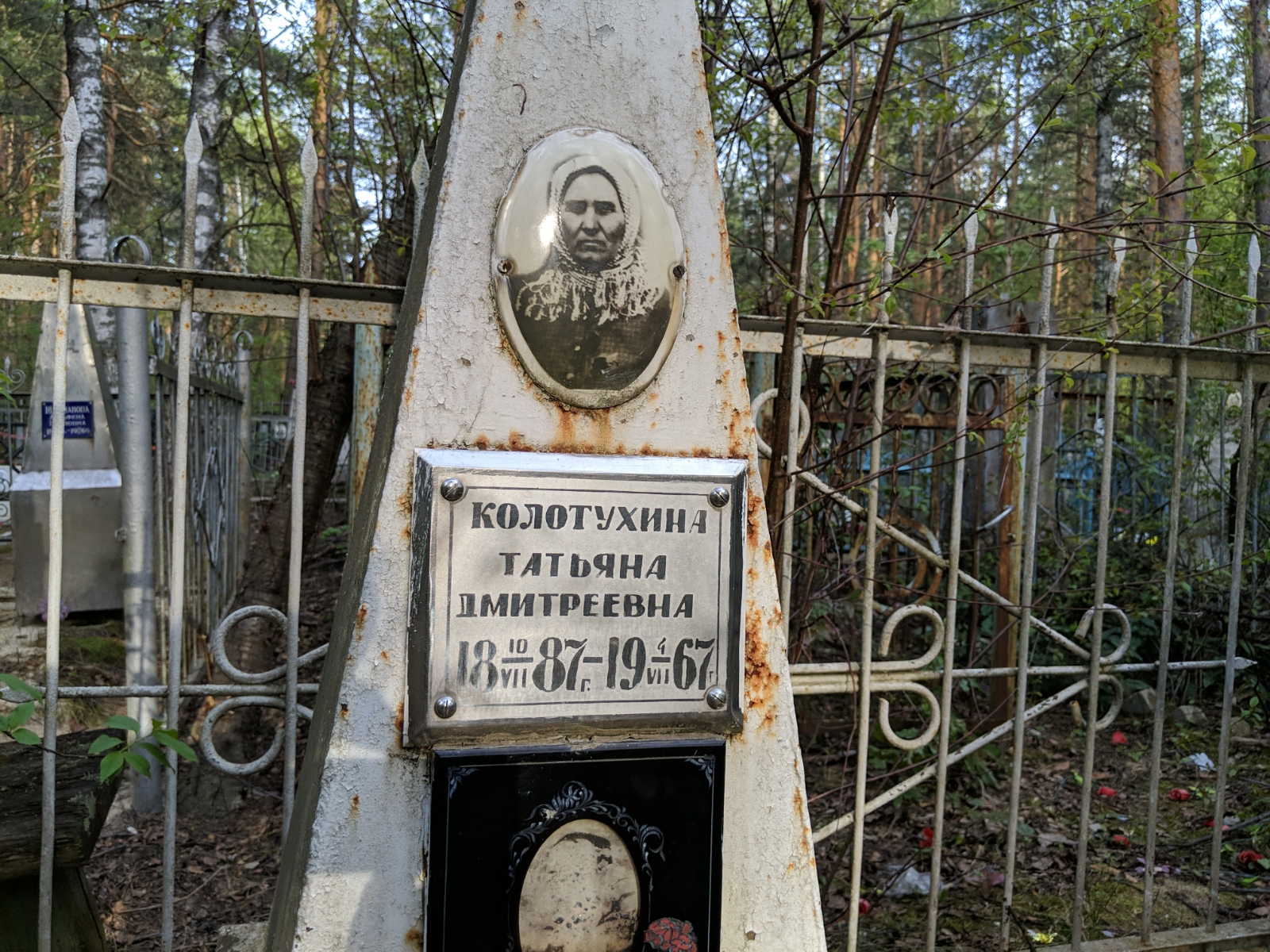 Колотухина Татьяна Дмитреевна