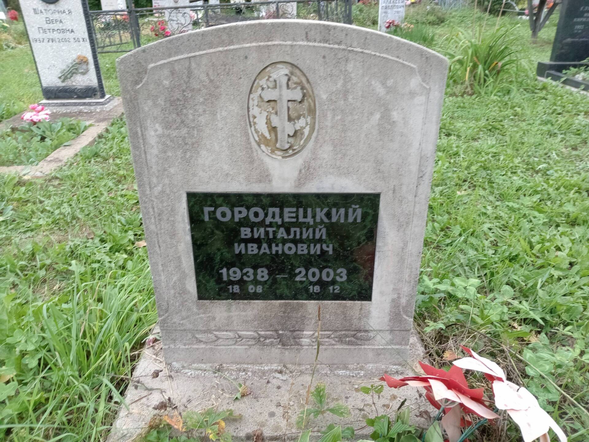 Городецкий Виталий Иванович