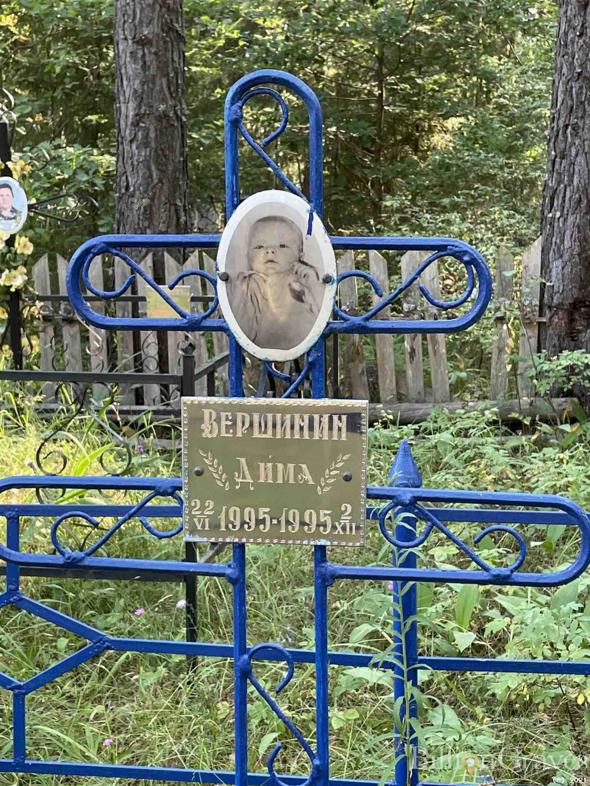 Вершинин Дима