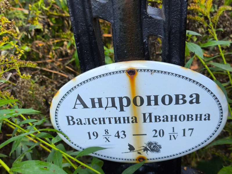 Андронова