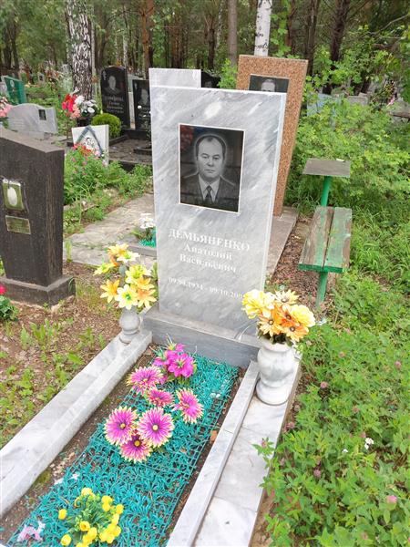 Демьяненко Анатолий Васильевич