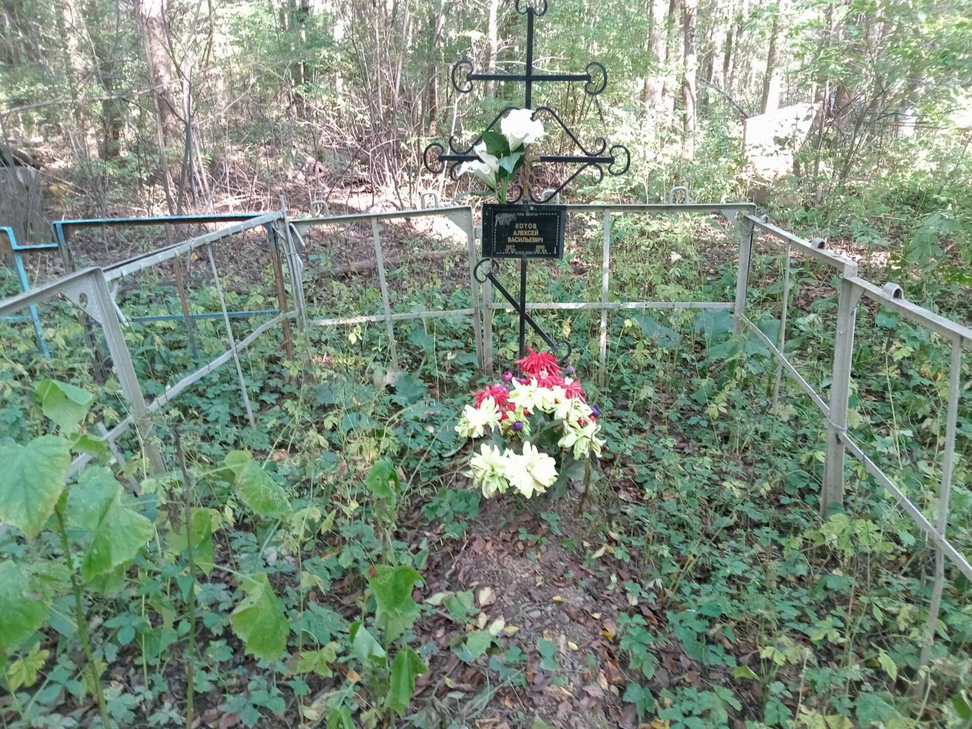Котов Алексей Васильевич
