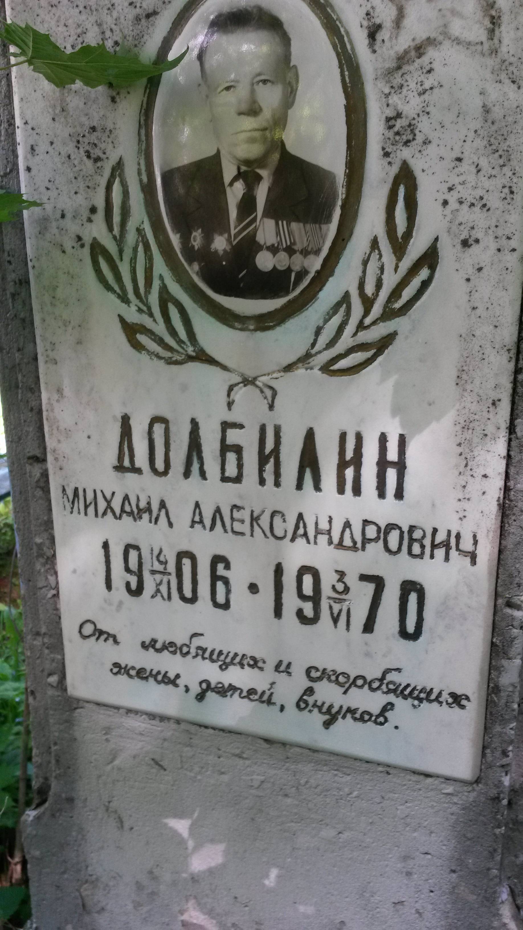 Долбилин Михаил Александрович