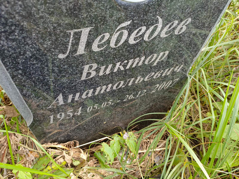 Лебедев