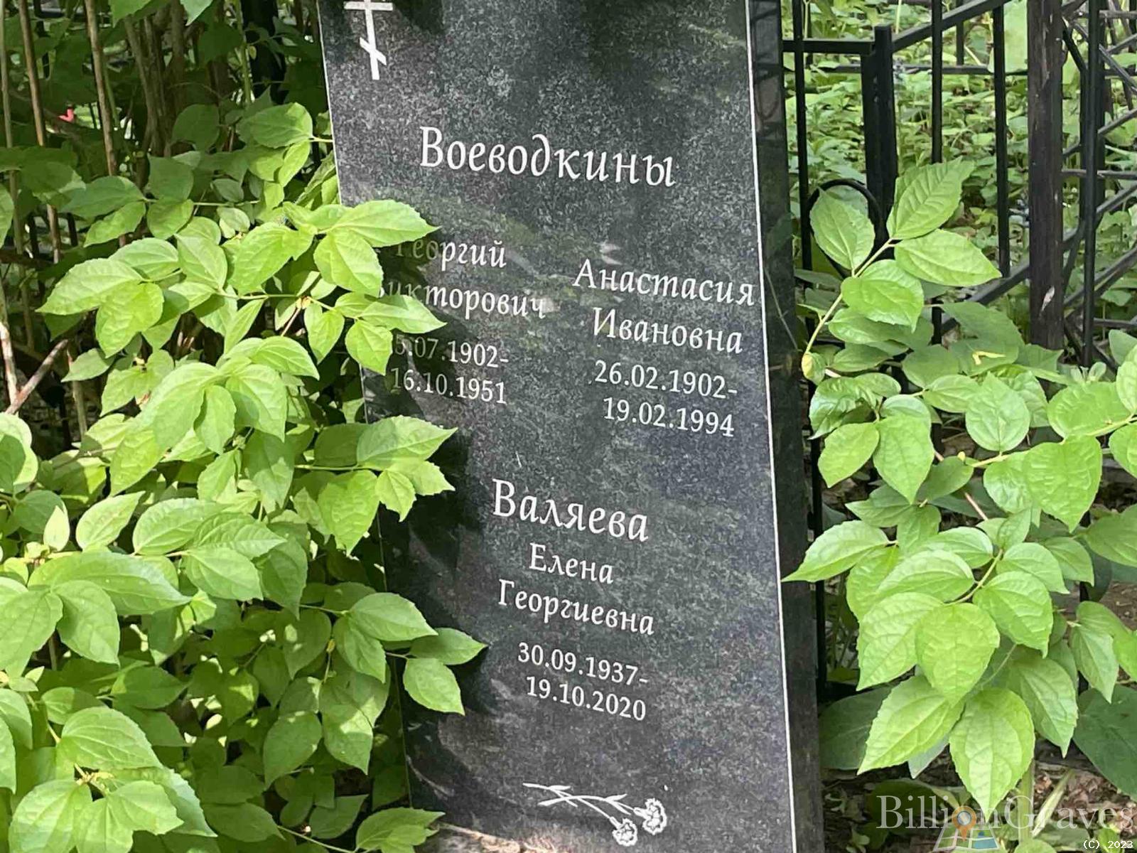 Воеводкина Анастасия Ивановна