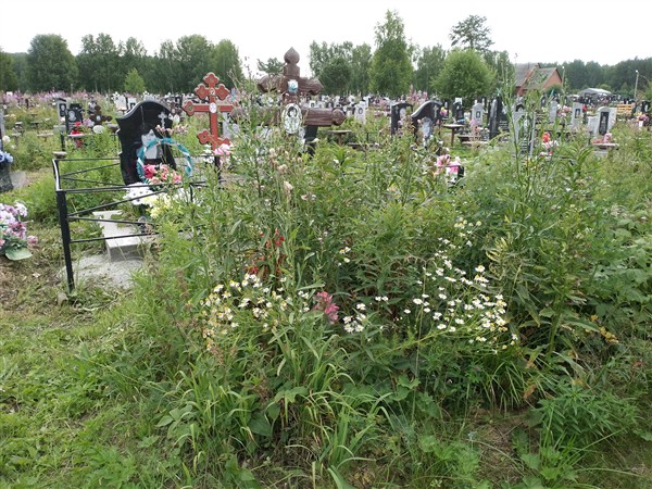 Соловьева Валентина Николаевна