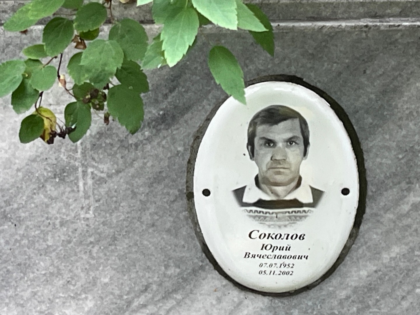 Соколов