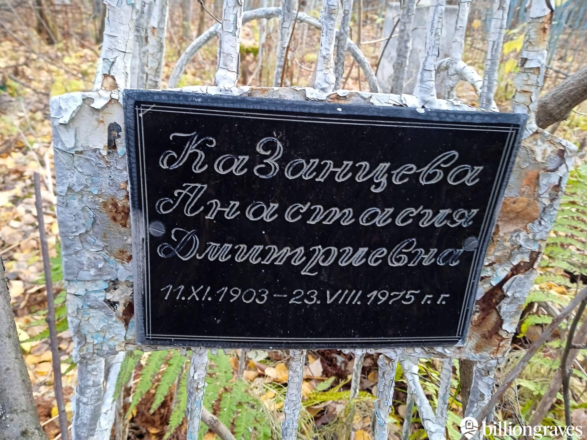 Казанцева Анастасия Дмитриевна