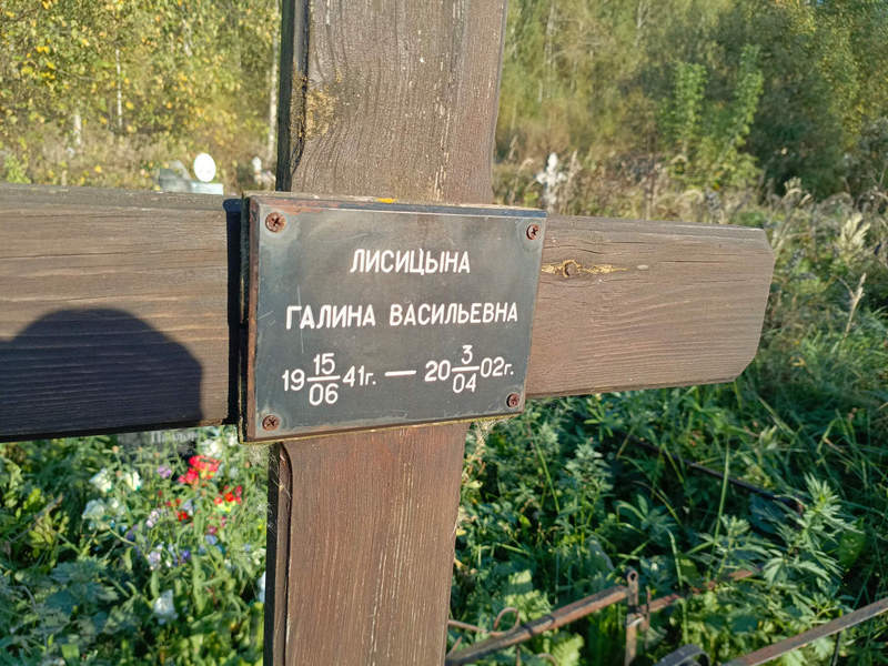 Лисицына