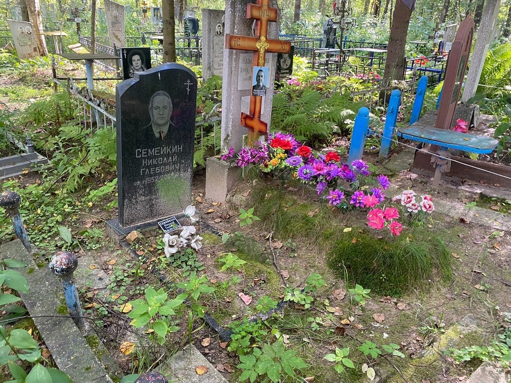 Семейкин Николай Глебович
