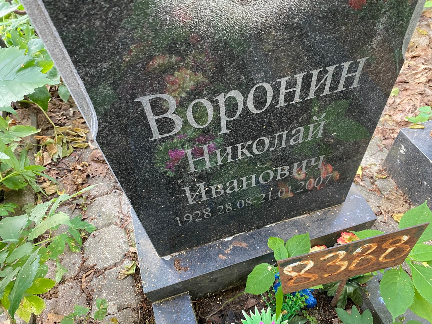 Воронин
