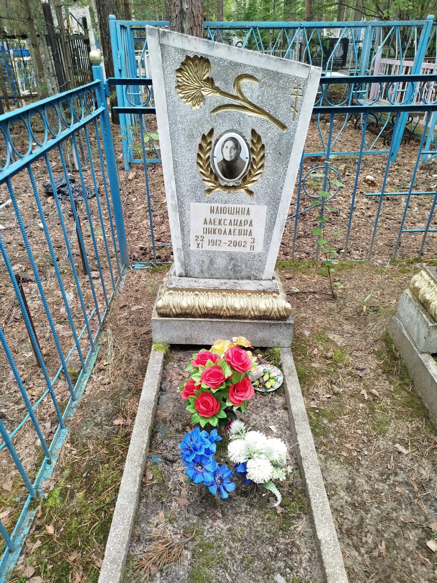 Илюшина Александра Николаевна