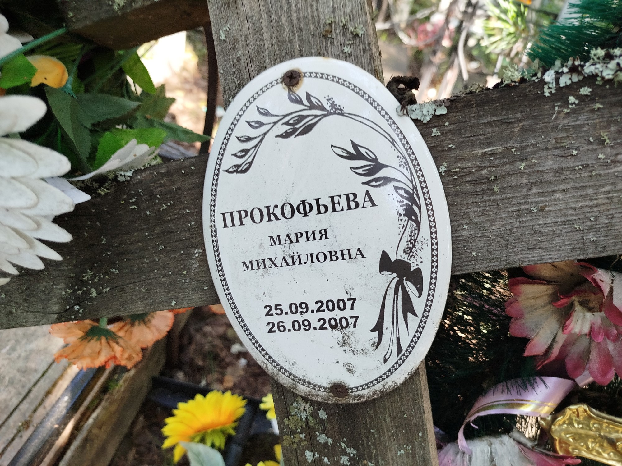 Прокофьева Мария Михайловна