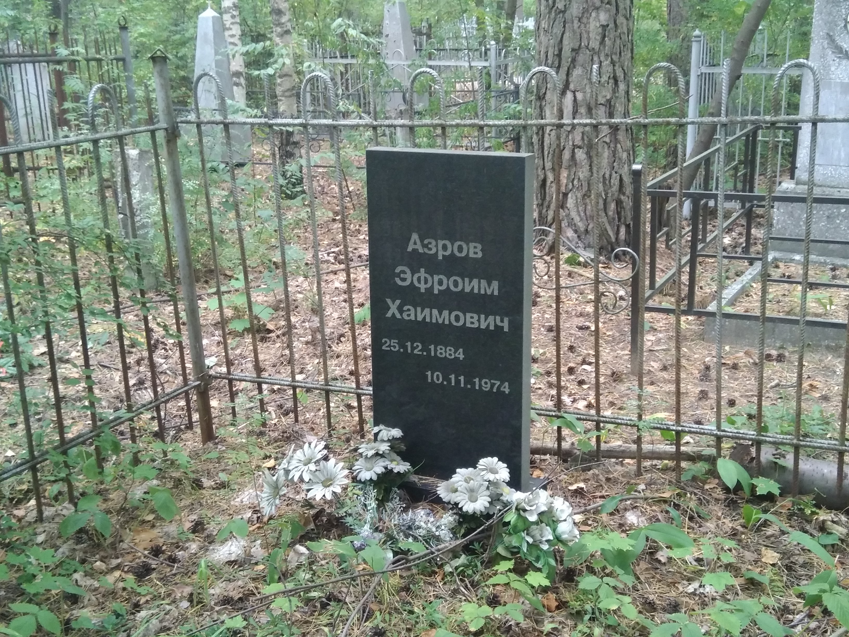 Азров Эфроим Хаимович