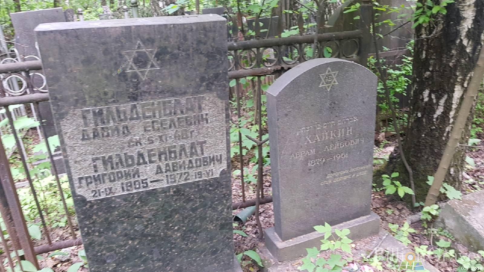 Гильденблат Григорий Давидович