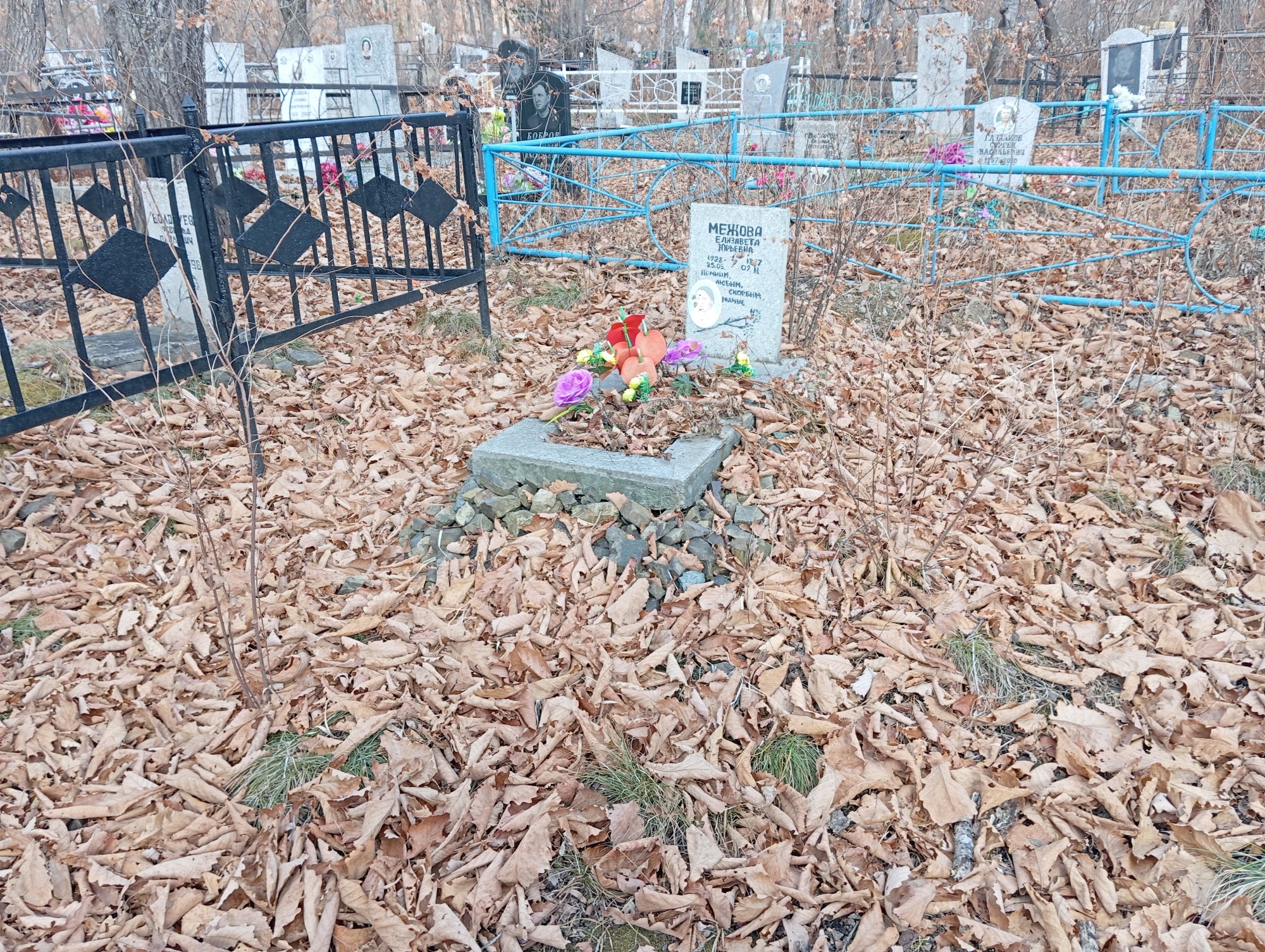 Межова Елизавета Юрьевна