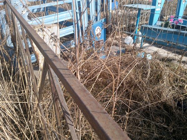 Бутылкин Павел Никитич