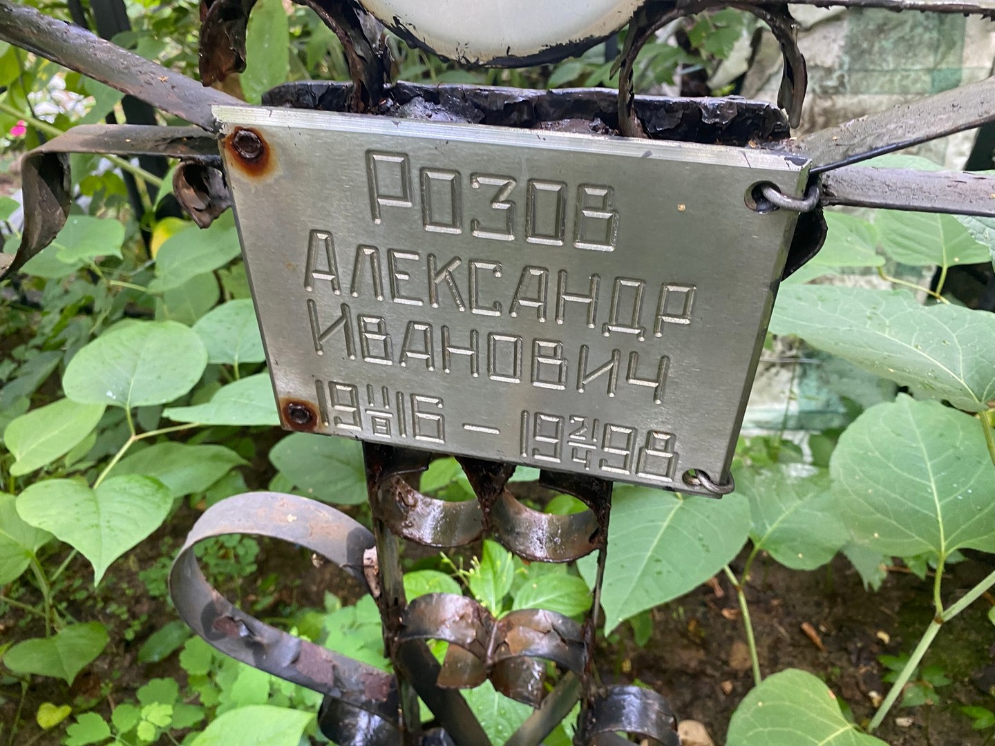 Розов