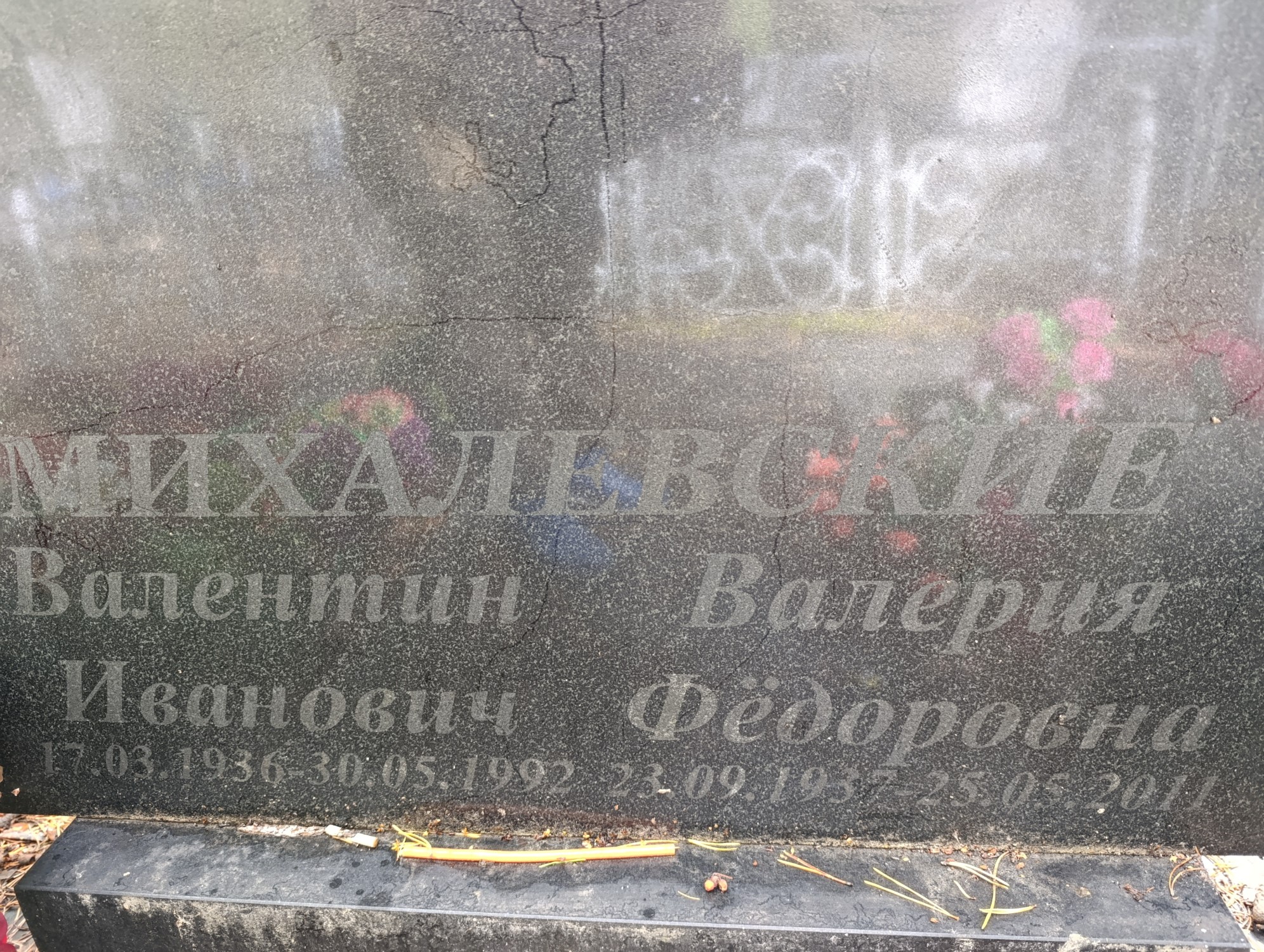 Михалевский Валентин Иванович