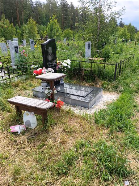 Алексеев Дмитрий Валерьевич