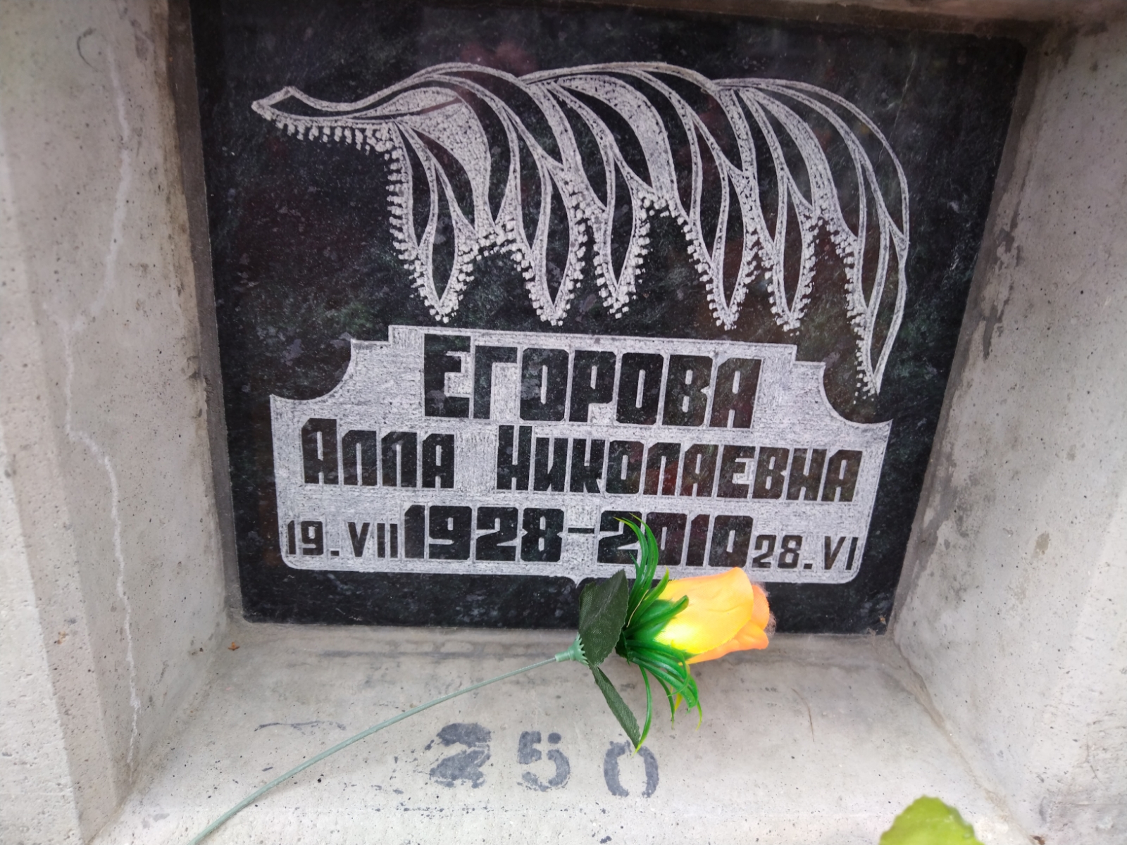 Егорова Алла Николаевна