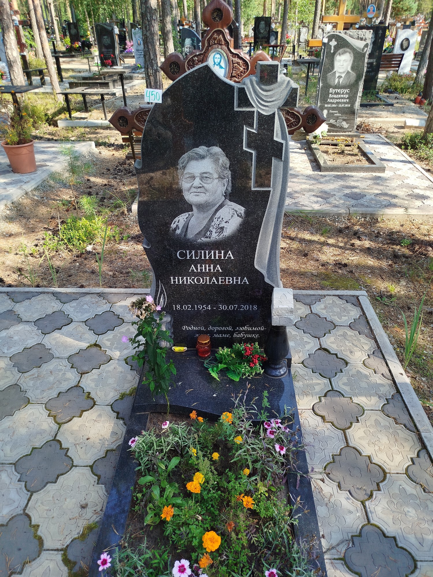 Силина Анна Николаевна