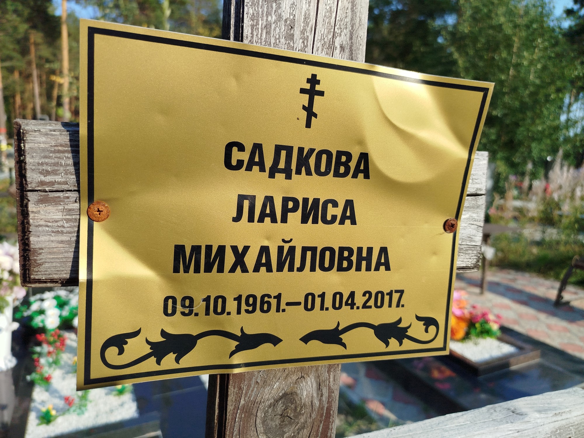 Садкова Лариса Михайловна