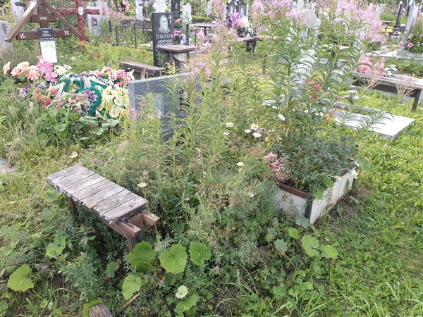 Ягжина Капиталина Григорьевна
